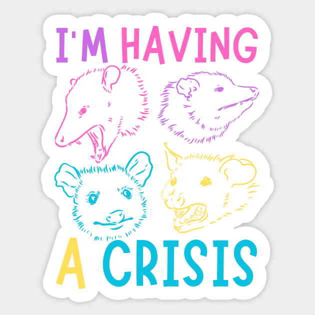 I'm Having A Crisis Possum Meme Sticker by The WYLD Tribe